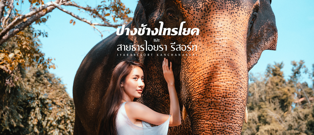 cover ปางช้างไทรโยค และ สายธารไอยรา เที่ยวสนุกและสุขไปพร้อมกัน