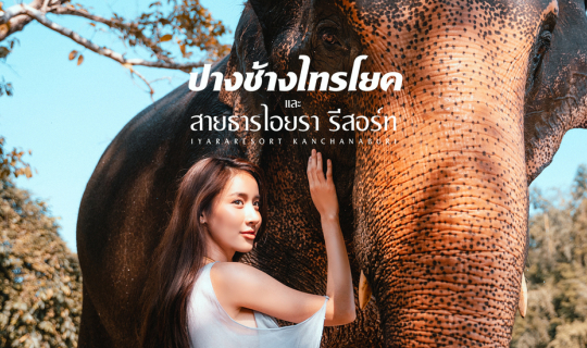 cover ปางช้างไทรโยค และ สายธารไอยรา เที่ยวสนุกและสุขไปพร้อมกัน