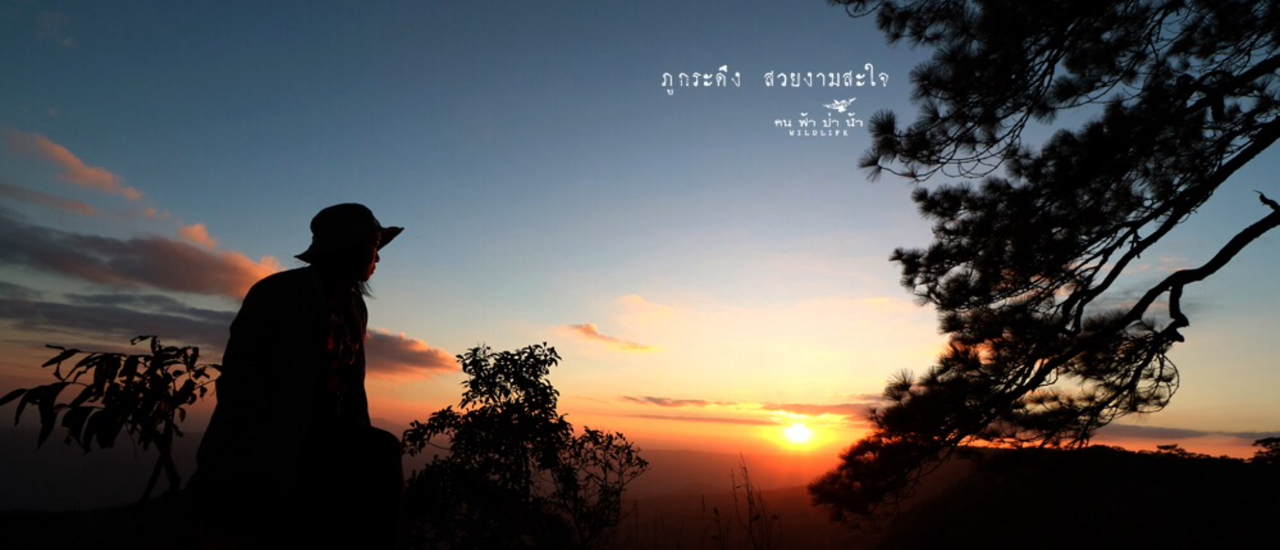 cover ภูกระดึง สวยงามสะใจ