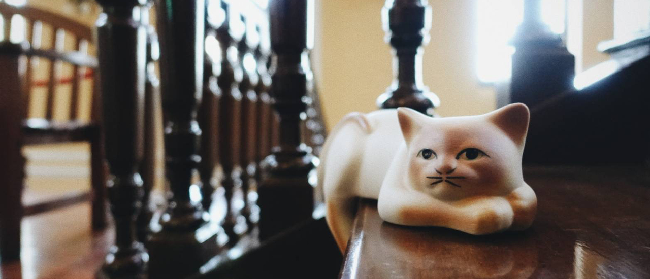 cover "รวมพลคนหลงแมว The Cat Society" Night at the Museum Siam