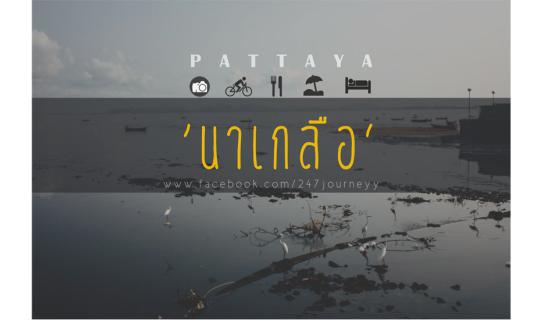 cover ชวนเที่ยวพัทยา แล้วมาหยุดเวลาที่ ‘นาเกลือ’
