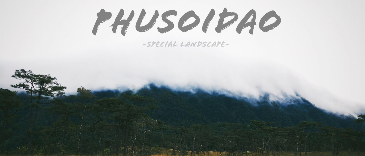 cover พิชิตภูสอยดาว