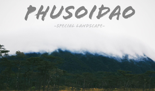 cover พิชิตภูสอยดาว