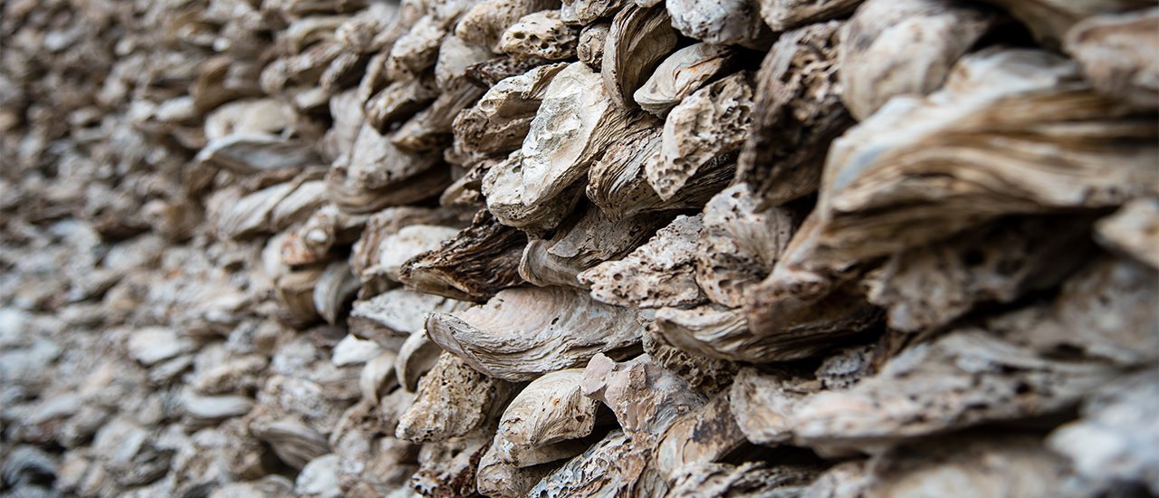 cover No plan trip at Japanese Village in ~~อยุธยาเมืองเก่าของเราแต่ก่อน~~