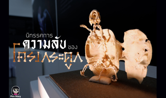 cover ความลับของโครงกระดูก (Skeleton's Secrets) ศึกษากายวิภาคสัตว์ ที่พิพิธภัณฑ์ จุฬาลงกรณ์มหาวิทยาลัย