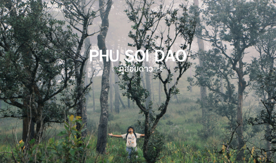 Cover อุทยานแห่งชาติภูสอยดาว 2 วัน 1 คืน...