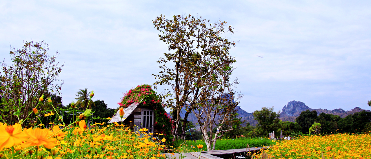 cover เที่ยวรอบนอกเขตตัวเมืองลพบุรี