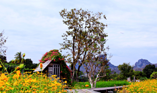 Cover เที่ยวรอบนอกเขตตัวเมืองลพบุรี...