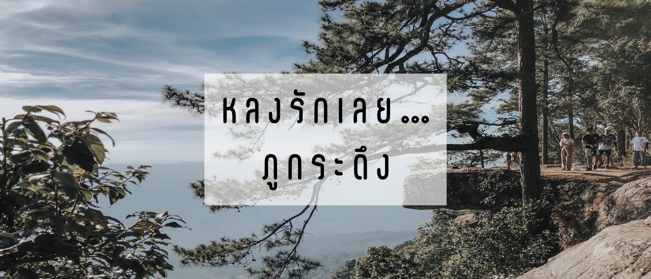 cover หลงรักเลย ภูกระดึง