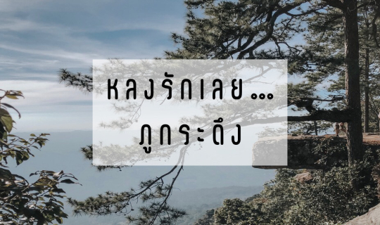 cover หลงรักเลย ภูกระดึง