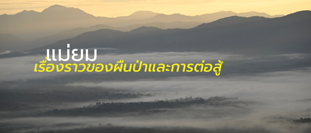 cover แม่ยม เรื่องราวของผืนป่าและการต่อสู้