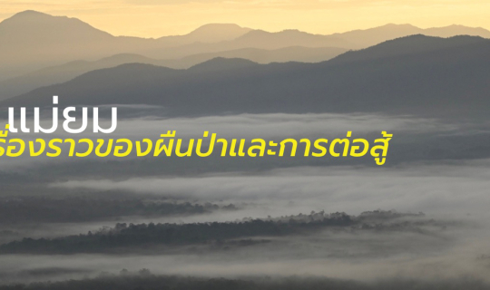 Cover แม่ยม เรื่องราวของผืนป่าและการต่อสู้...