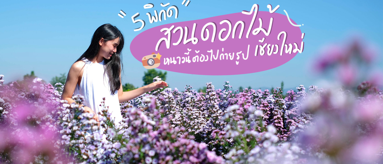 cover 5 พิกัด สวนดอกไม้ ‘ เชียงใหม่ ’ น่าไปถ่ายรูป | Bliss Out There