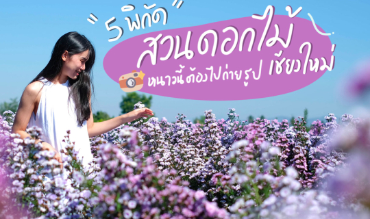 cover 5 พิกัด สวนดอกไม้ ‘ เชียงใหม่ ’ น่าไปถ่ายรูป | Bliss Out There