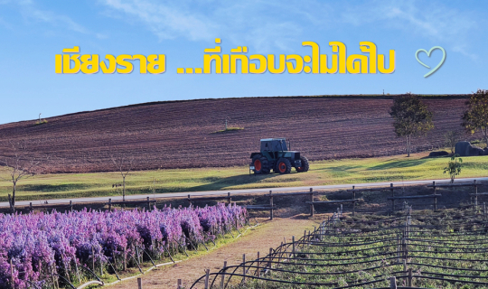 cover เชียงราย... ที่เกือบจะไม่ได้ไป 19-21/12/63