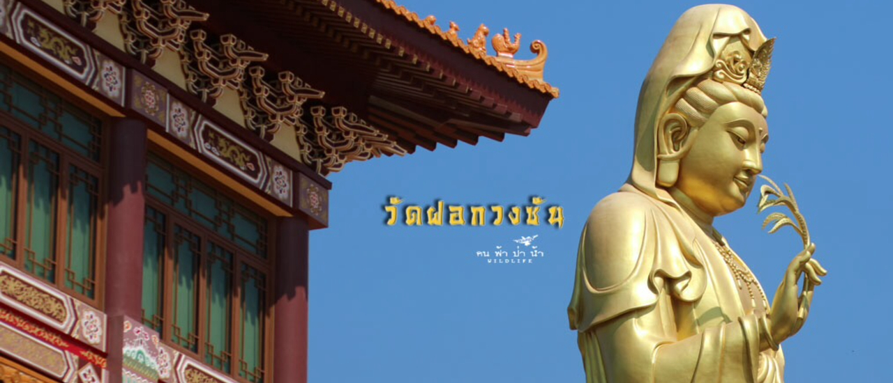 cover วัดฝอกวงซัน วัดสวยในไทยเหมือนอยู่ในไต้หวัน…