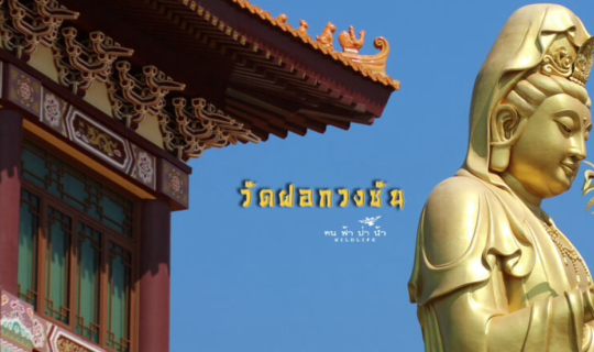 cover วัดฝอกวงซัน วัดสวยในไทยเหมือนอยู่ในไต้หวัน…