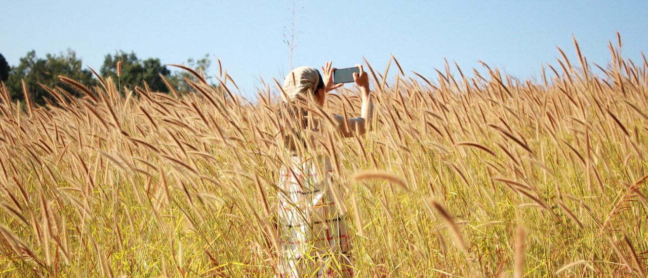 cover Phoenix Adventure & Chokeari Farm - เชียงใหม่