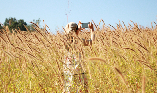 cover Phoenix Adventure & Chokeari Farm - เชียงใหม่