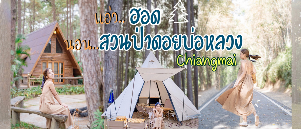 cover ขับรถเที่ยว ฮอด เชียงใหม่ 2 วัน 1 คืน นอนรับลมหนาวที่ สวนป่าดอยบ่อหลวง ชิลคาเฟ่สไตล์แคมป์ปิ้ง