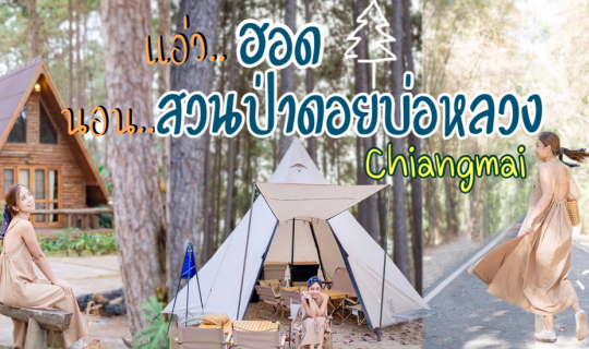 cover ขับรถเที่ยว ฮอด เชียงใหม่ 2 วัน 1 คืน นอนรับลมหนาวที่ สวนป่าดอยบ่อหลวง ชิลคาเฟ่สไตล์แคมป์ปิ้ง