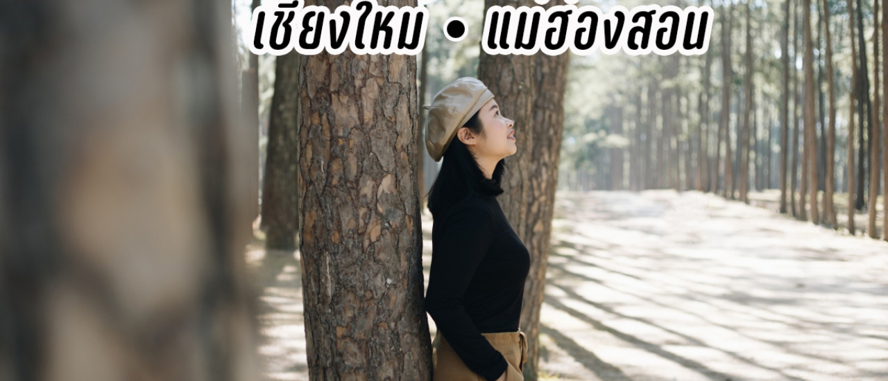 cover 15 พิกัด Road Trip เชียงใหม่ – แม่ฮ่องสอน เที่ยวเส้นทางธรรมชาติ