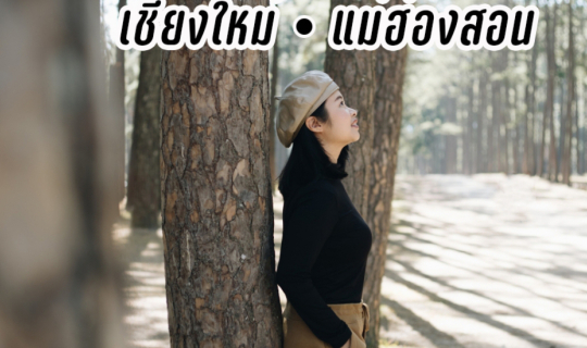 Cover 15 พิกัด Road Trip เชียงใหม่ – แม่ฮ่องสอน เที่ยวเส้นทางธรรมชาติ...