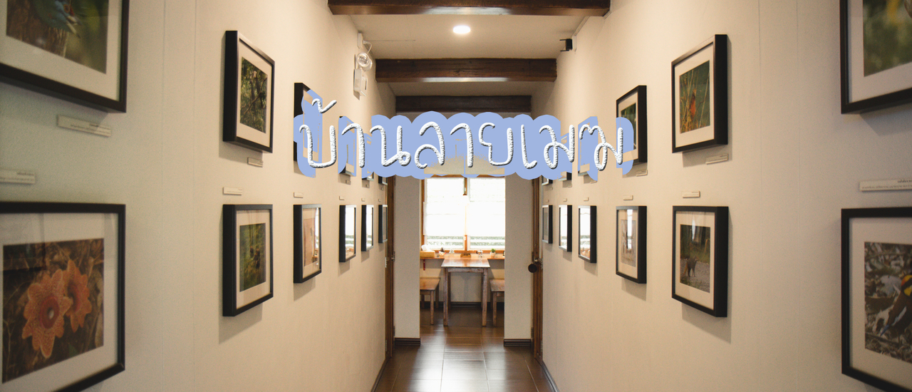 cover บ้านลายเมฆ โฮมสเตย์ คุณภาพเกินราคา