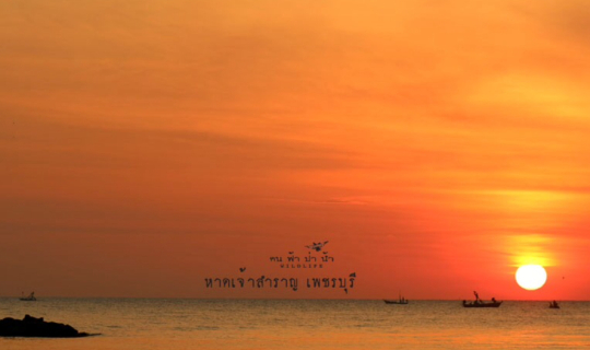 cover หาดเจ้าสำราญ ดีงาม…