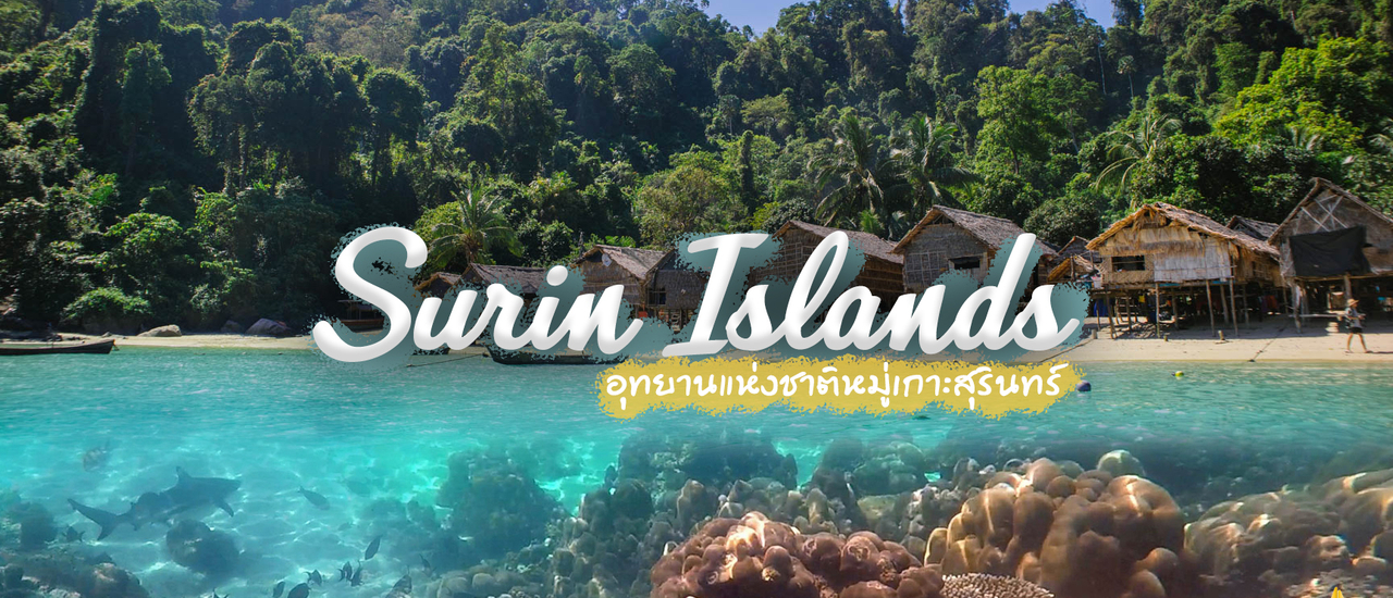 cover .:: ดำน้ำตื้นดูฉลามที่เกาะสุรินทร์ | พาเที่ยวอุทยานแห่งชาติหมู่เกาะสุรินทร์ ::.