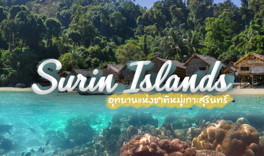 Cover .:: ดำน้ำตื้นดูฉลามที่เกาะสุรินทร์ | พาเที่ยวอุทยานแห่งชาติหมู่เกาะส...