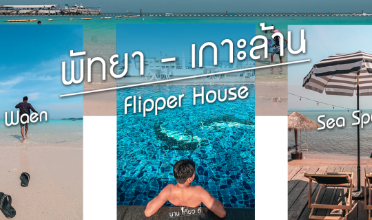cover เกาะล้าน-พัทยา 1 คืน ก็ฟินได้ ที่ Flipper House Hotel ราคาเบาๆ ใกล้ชายหาด