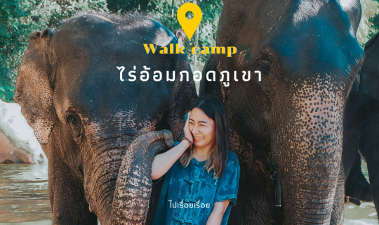 cover ไปเป็นคนเลี้ยงช้างที่ไร่อ้อมกอดภูเขา -walk camp-