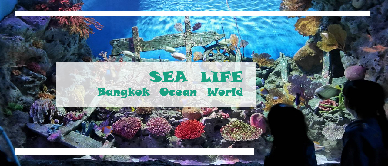 cover หนีไป "SEA LIFE Bangkok Ocean World" กับเด็ก