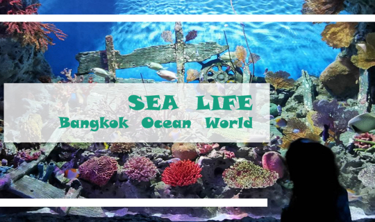 cover หนีไป "SEA LIFE Bangkok Ocean World" กับเด็ก