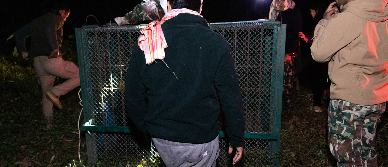 cover จับหมีที่บ้านกร่างแคมป์ แก่งกระจาน ไปปล่อยในป่าลึก