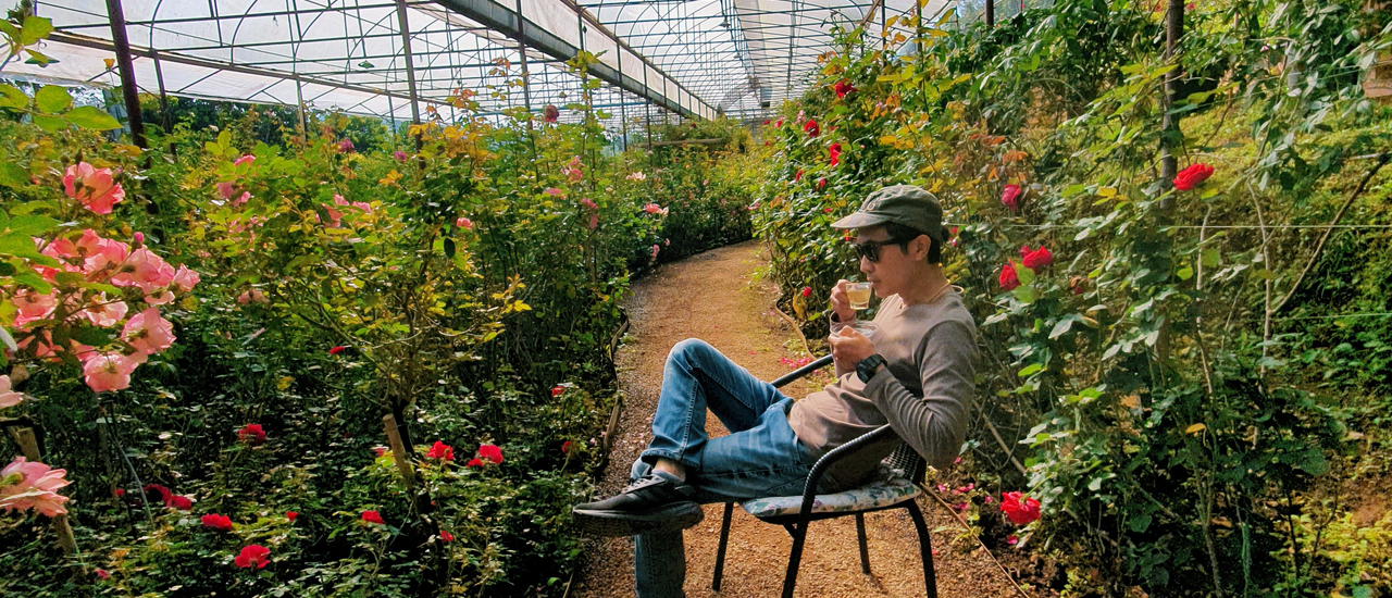 cover จิบชากุหลาบ ในสวนกุหลาบสวยๆสไตล์อังกฤษ ที่โครงการหลวงทุ่งเริง^^