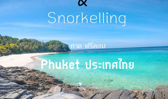 cover หาดฟรีดอม (ป่าตอง) ภูเก็ต II แคมป์ปิ้งกางเต๊นท์ดำน้ำดูปลา