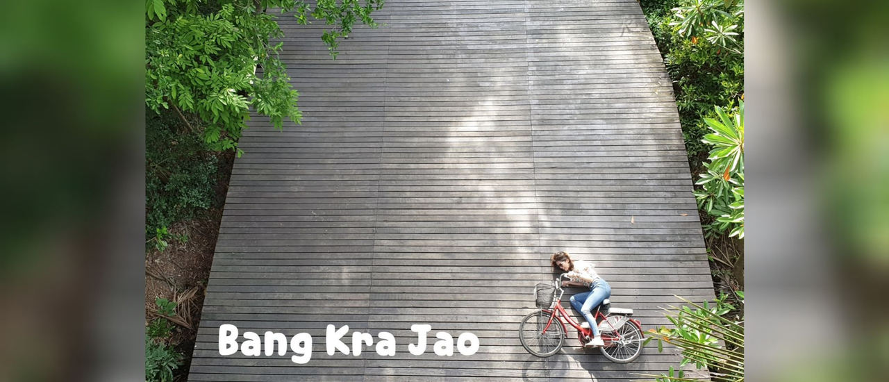 cover ครึ่งวันใกล้กรุง ดื่มด่ำธรรมชาติที่บางกระเจ้า