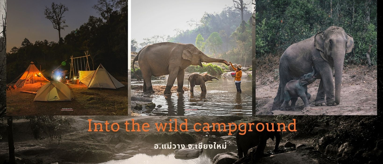 cover นอนปางช้าง Into the wild campground จุดตั้งแค้มป์ต้องห้าม!!!!!! (พลาด)