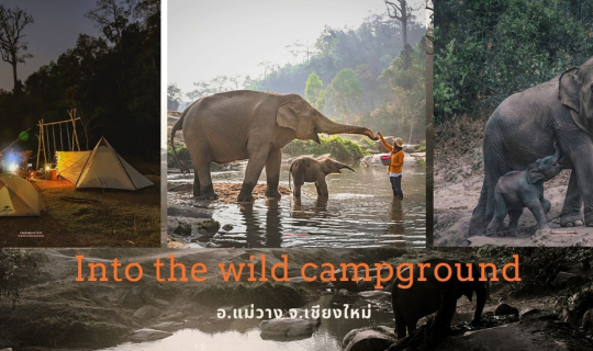 cover นอนปางช้าง Into the wild campground จุดตั้งแค้มป์ต้องห้าม!!!!!! (พลาด)