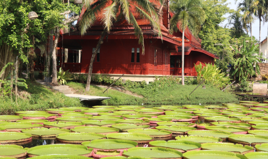 Cover Ma Doo Bua Cafe' คาเฟ่สุดชิคของเมืองภูเก็ต...