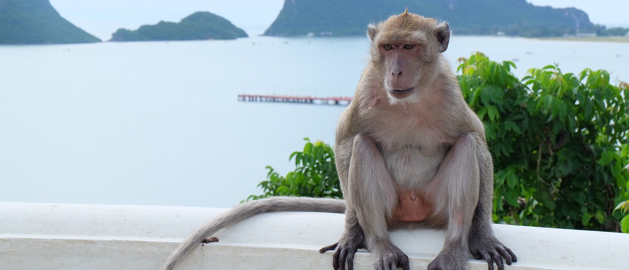 cover อยากหยุดพัก... " คิดถึง เ ธ อ "