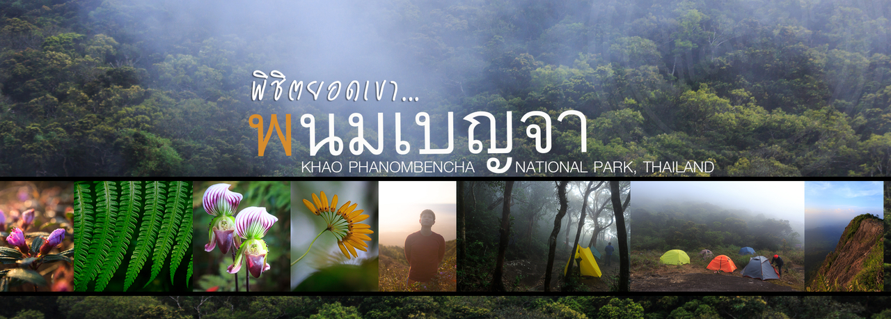 cover เดินป่าใต้พิชิตยอดเขา "พนมเบญจา" จ.กระบี่