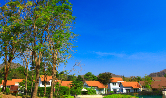 Cover เที่ยวใกล้กรุงเทพฯ   ขับรถท่องไพร ไปปากช่องกัน...