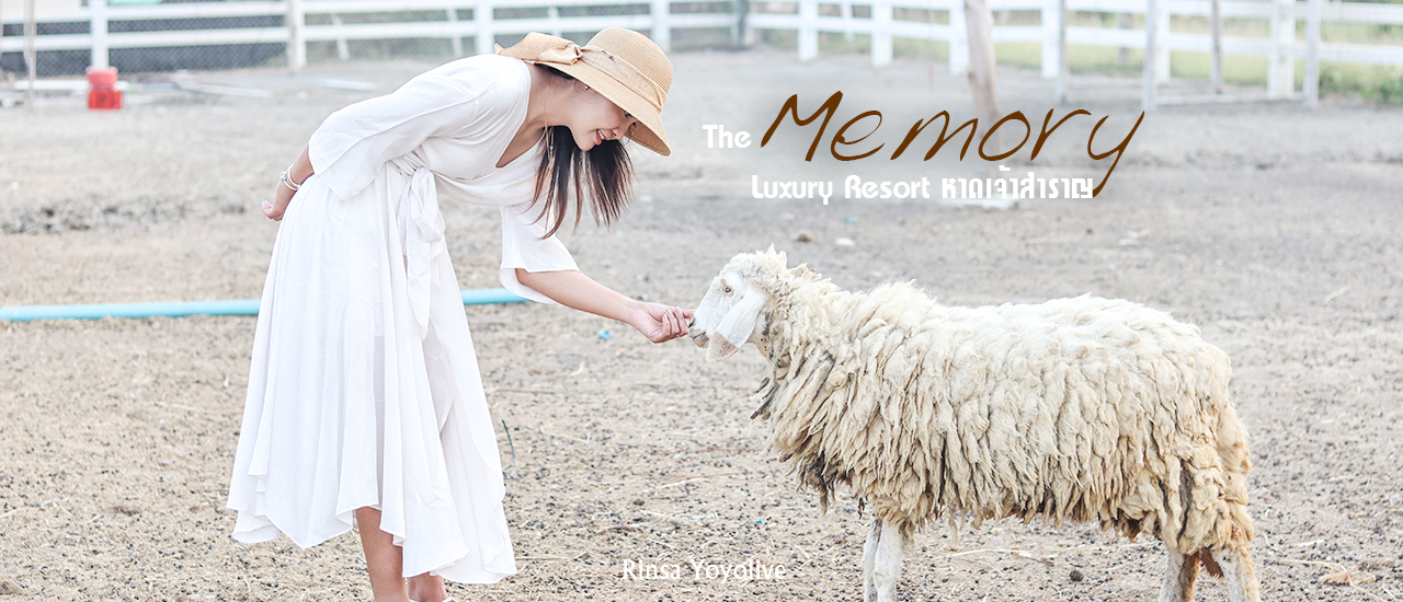 cover The Memory Luxury Resort หาดเจ้าสำราญ ความทรงจำดีดี ถูกบักทึกไว้ที่นี่