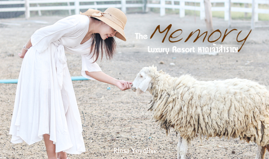 cover The Memory Luxury Resort หาดเจ้าสำราญ ความทรงจำดีดี ถูกบักทึกไว้ที่นี่