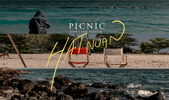 cover ปิกนิก กินซาซิมิปลาสด ริมหาดนวล เที่ยว 1 วัน เกาะล้าน พาทัวร์