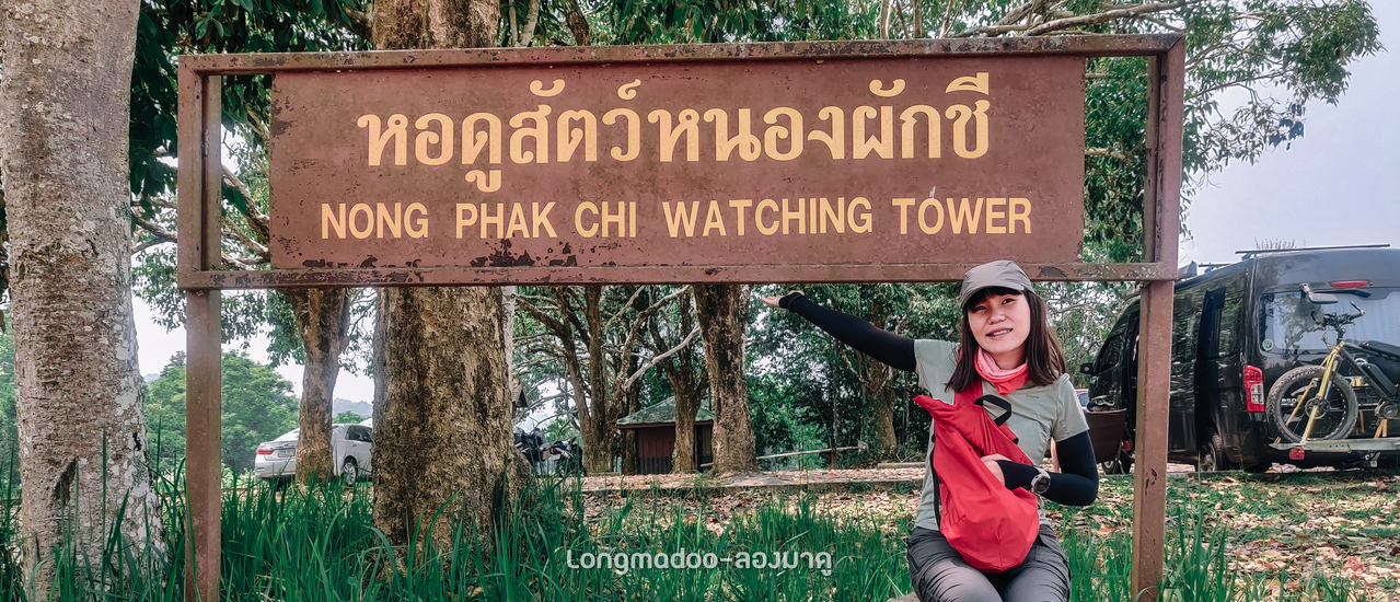 cover หอดูสัตว์หนองผักชี อช.เขาใหญ่🌳