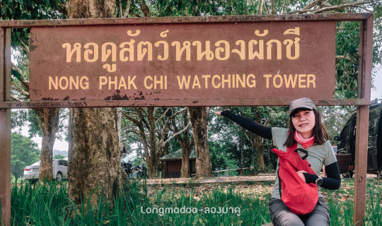 cover หอดูสัตว์หนองผักชี อช.เขาใหญ่🌳